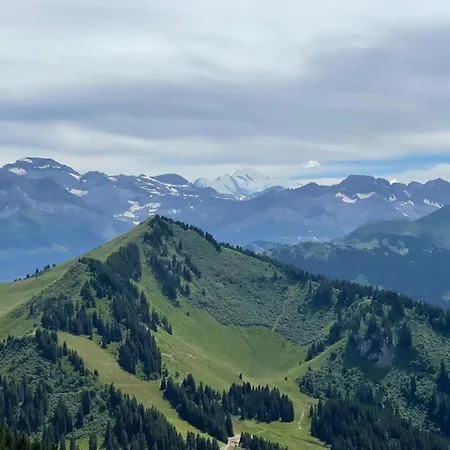 Duo D'appartements - Châtel