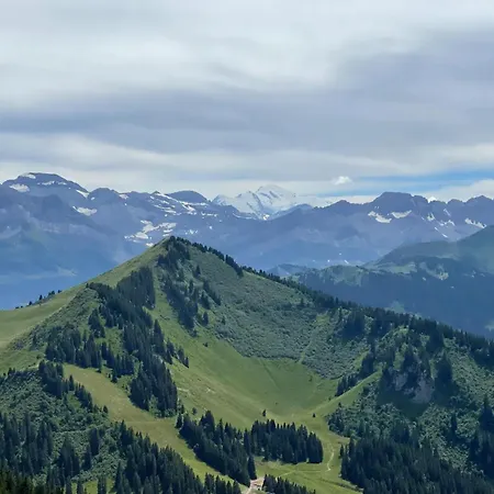 Duo D'appartements - * Châtel